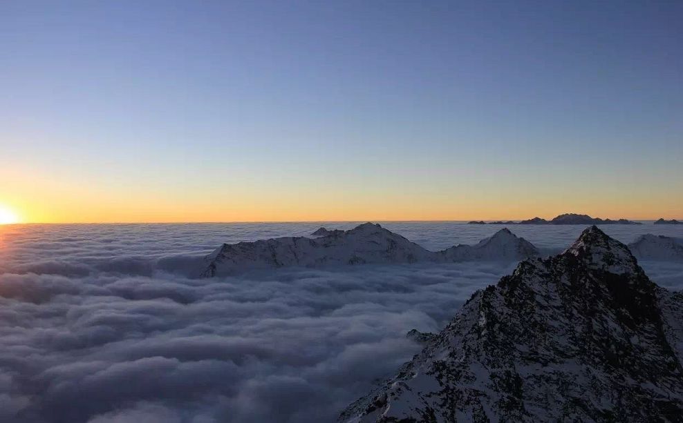 神舟十九号探索新领域：搭载果蝇探索太空生物学奥秘